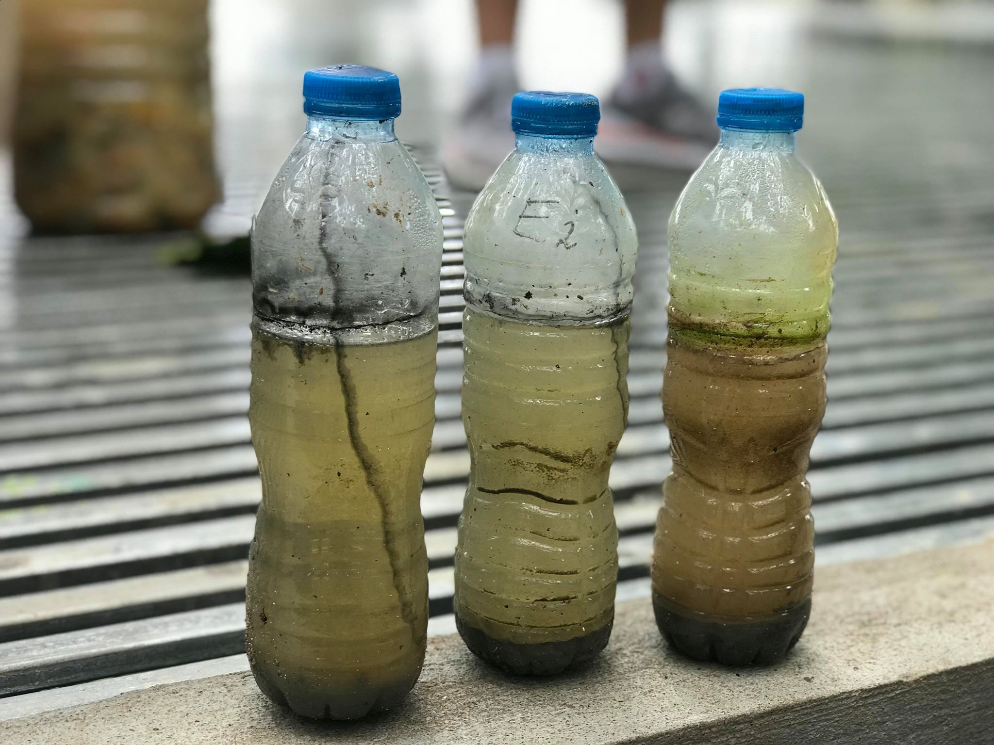 Ngày khai giảng không giống ai ở “trường Tottochan” giữa lòng Hà Nội - 5 Ngày khai giảng không giống ai ở “trường Tottochan” giữa lòng Hà Nội - 5