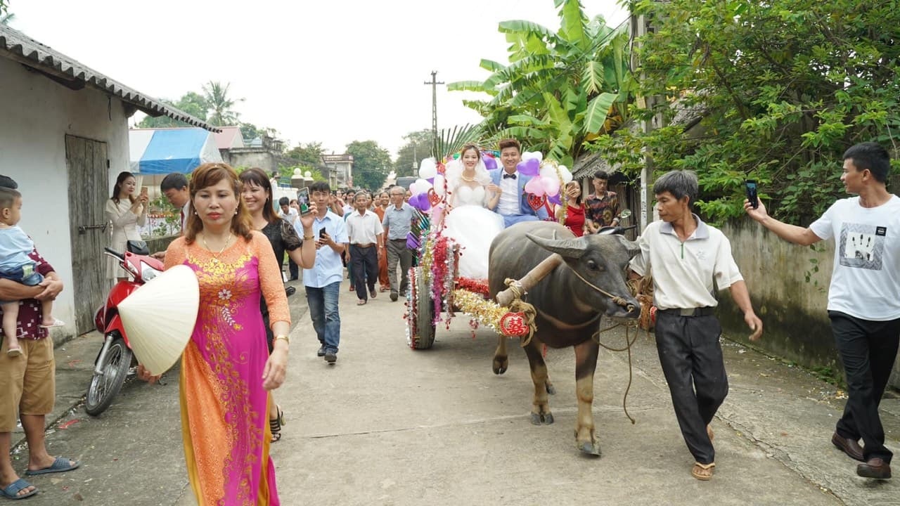 Độc đáo đám cưới rước dâu bằng xe trâu ở Thanh Hóa - 4