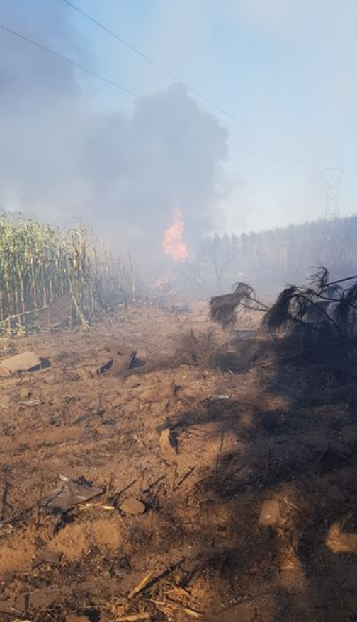 Máy bay F16 của Bỉ rơi, phi công mắc kẹt trên lưới điện cao thế