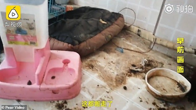 Sự thật về phong cách sống sang chảnh của “ngôi sao mạng xã hội” - 2 Sự thật về phong cách sống sang chảnh của “ngôi sao mạng xã hội” - 2
