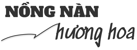 Mùa thu Hà Nội và những đặc sản gây thương nhớ - 10 Mùa thu Hà Nội và những đặc sản gây thương nhớ - 10
