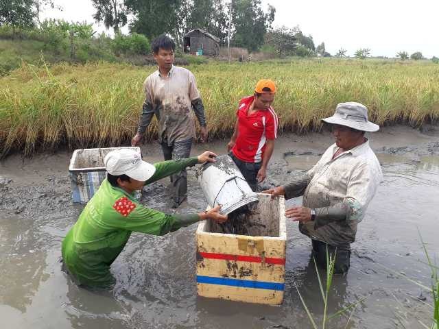 Về quê trải nghiệm lội bùn bắt cá, tôm ngày nghỉ Tết - 4 Đương nhiên là phải dầm mình xuống nước và bùn lầy.