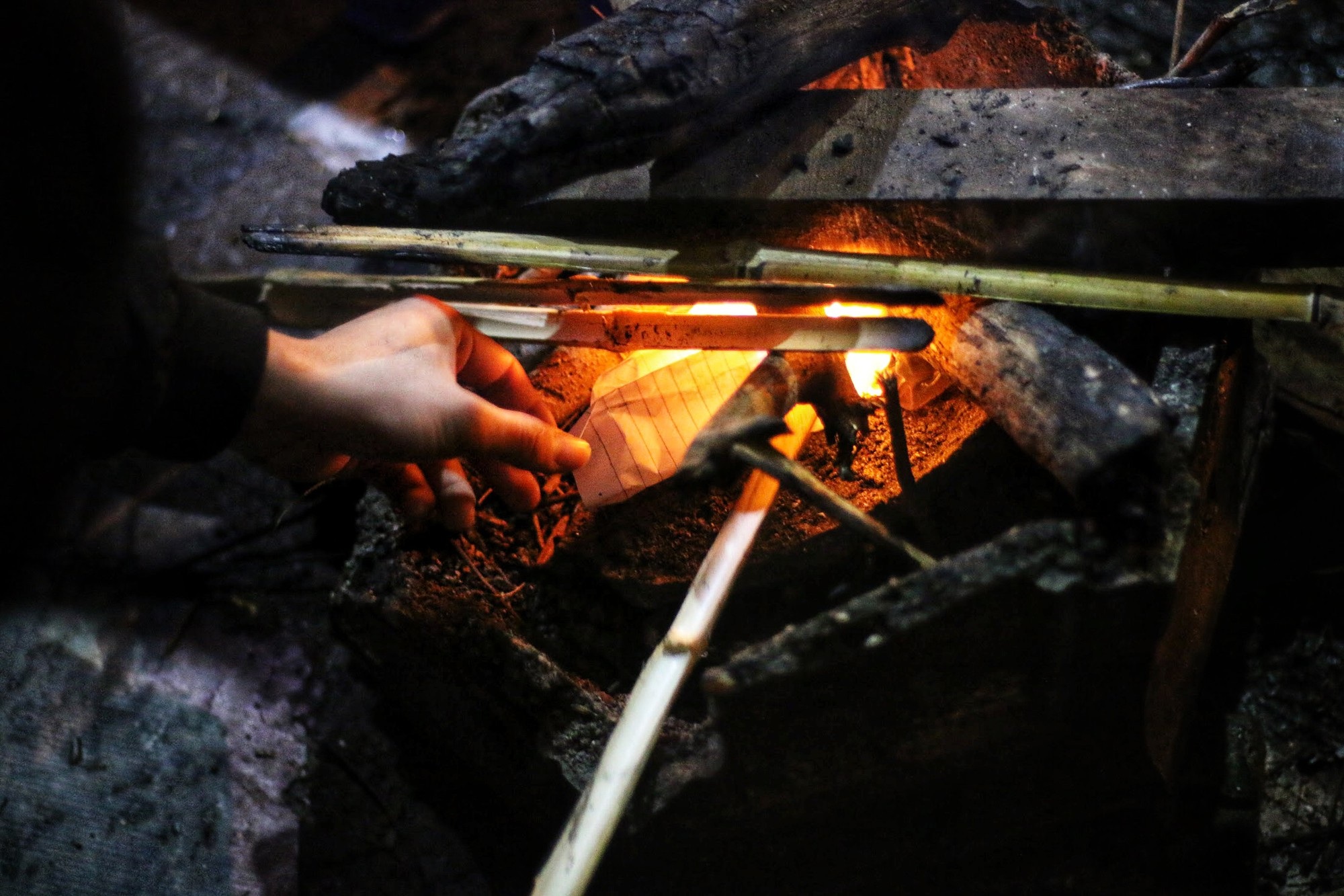 Lo mất trộm, người Hà Nội dựng lều đốt lửa trông đào xuyên đêm - Ảnh 4. Lo mất trộm, người Hà Nội dựng lều đốt lửa trông đào xuyên đêm - Ảnh 4.