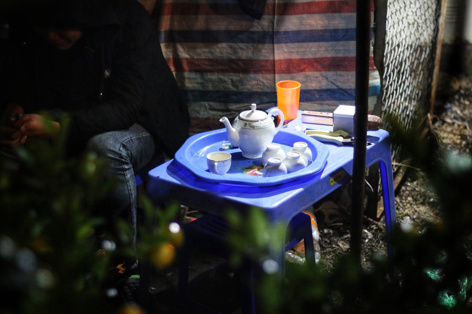 Lo mất trộm, người Hà Nội dựng lều đốt lửa trông đào xuyên đêm - Ảnh 5. Lo mất trộm, người Hà Nội dựng lều đốt lửa trông đào xuyên đêm - Ảnh 5.