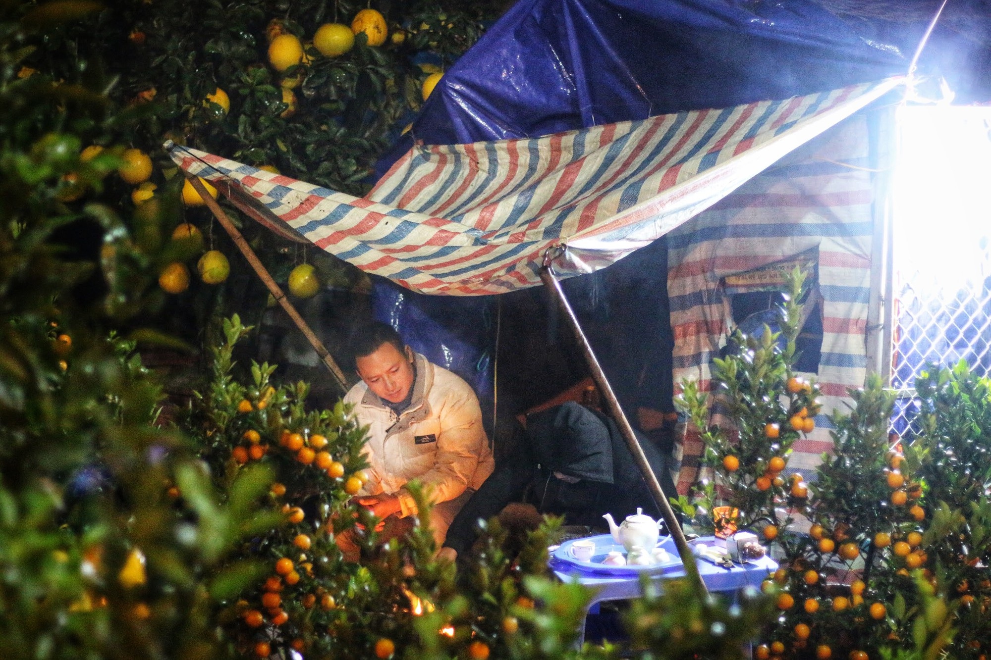 Lo mất trộm, người Hà Nội dựng lều đốt lửa trông đào xuyên đêm - Ảnh 3. Lo mất trộm, người Hà Nội dựng lều đốt lửa trông đào xuyên đêm - Ảnh 3.