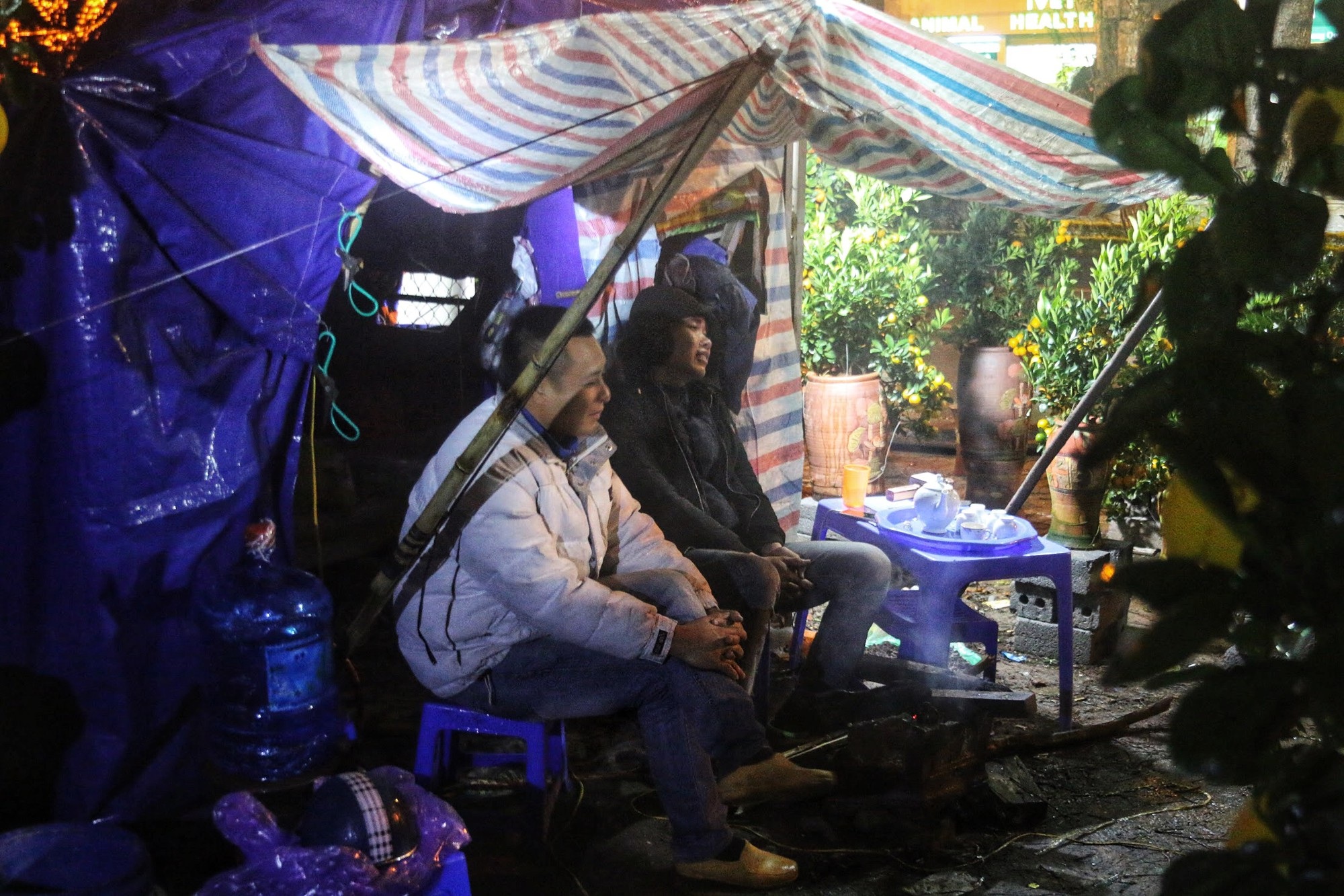 Lo mất trộm, người Hà Nội dựng lều đốt lửa trông đào xuyên đêm - Ảnh 6. Lo mất trộm, người Hà Nội dựng lều đốt lửa trông đào xuyên đêm - Ảnh 6.