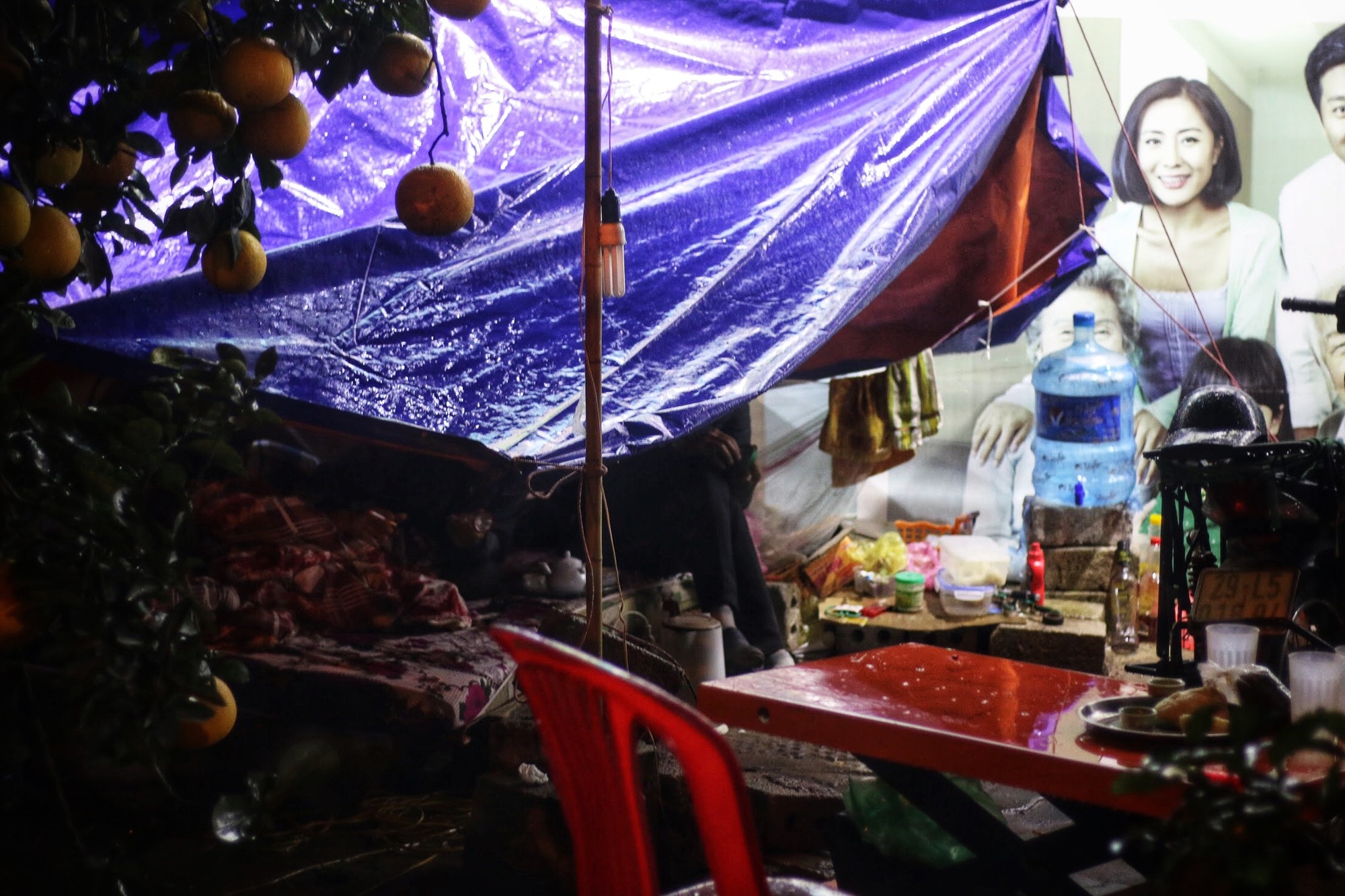 Lo mất trộm, người Hà Nội dựng lều đốt lửa trông đào xuyên đêm - Ảnh 2. Lo mất trộm, người Hà Nội dựng lều đốt lửa trông đào xuyên đêm - Ảnh 2.