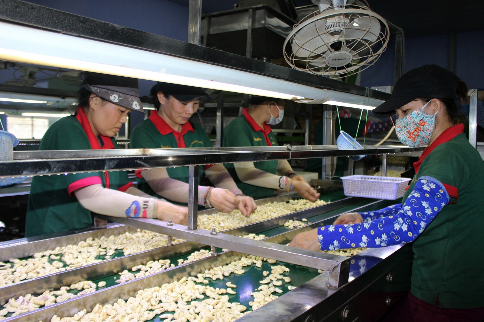 Phú Yên: Mức thưởng Tết thấp nhất là 100.000 đồng - Ảnh 1. Phú Yên: Mức thưởng Tết thấp nhất là 100.000 đồng - Ảnh 1.