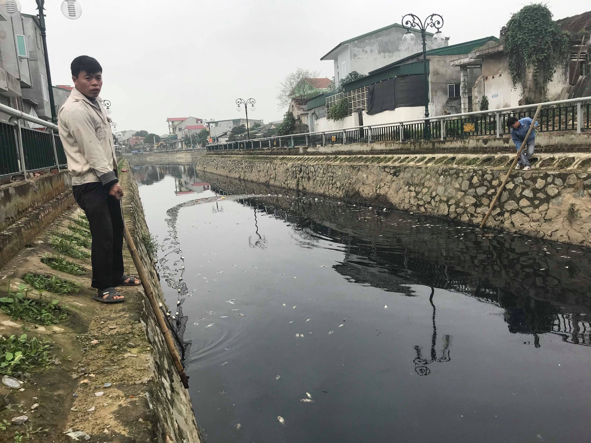 Cận cảnh đoạn kênh dày đặc cá chết tra tấn người dân tại TP Vinh! - Ảnh 10. Cận cảnh đoạn kênh dày đặc cá chết tra tấn người dân tại TP Vinh! - Ảnh 10.