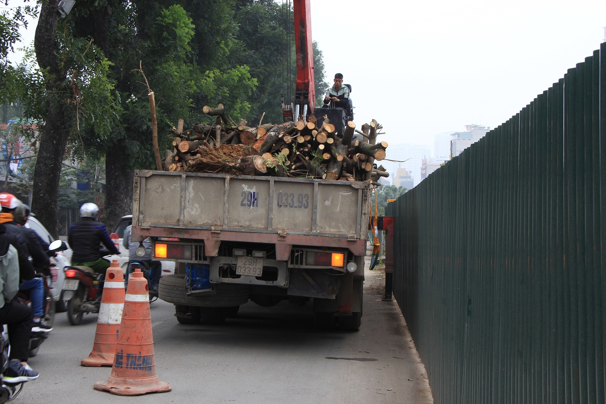 Công nhân ngày đêm đánh chuyển cây xanh, chạy đua mở rộng đường Láng - Ảnh 7. Công nhân ngày đêm đánh chuyển cây xanh, chạy đua mở rộng đường Láng - Ảnh 7.