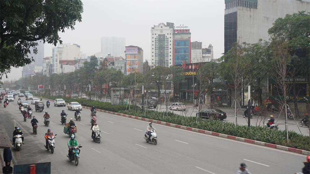 Phong lá đỏ ở Hà Nội chưa kịp đỏ đã ngả... màu đen - Ảnh 2. Phong lá đỏ ở Hà Nội chưa kịp đỏ đã ngả... màu đen - Ảnh 2.
