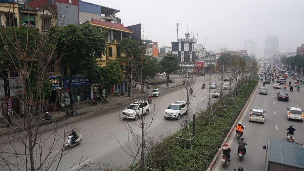 Phong lá đỏ ở Hà Nội chưa kịp đỏ đã ngả... màu đen - Ảnh 1. Phong lá đỏ ở Hà Nội chưa kịp đỏ đã ngả... màu đen - Ảnh 1.