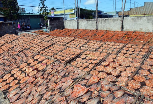 Cà Mau: Làng khô biển vào vụ Tết, nhân công kiếm bạc triệu - Ảnh 1. Cà Mau: Làng khô biển vào vụ Tết, nhân công kiếm bạc triệu - Ảnh 1.
