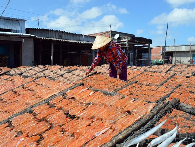 Cà Mau: Làng khô biển vào vụ Tết, nhân công kiếm bạc triệu - Ảnh 4. Cà Mau: Làng khô biển vào vụ Tết, nhân công kiếm bạc triệu - Ảnh 4.