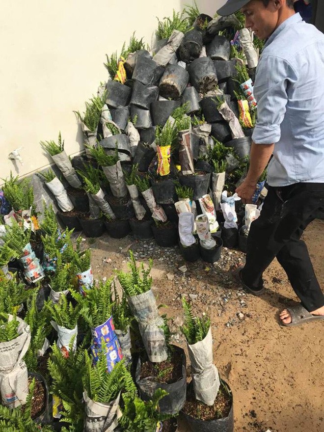 Chiêm ngưỡng biệt thự triệu đô, dinh cơ hoành tráng sao Việt tậu trong năm qua - Ảnh 14. Chiêm ngưỡng biệt thự triệu đô, dinh cơ hoành tráng sao Việt tậu trong năm qua - Ảnh 14.