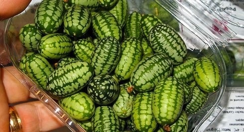 Những củ, quả tí hon giá cắt cổ được săn lùng - Ảnh 2. Những củ, quả tí hon giá cắt cổ được săn lùng - Ảnh 2.