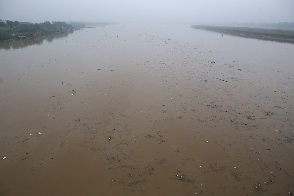 Hà Nội: Sông Hồng xuất hiện nhiều củi rác trôi dạt - Ảnh 2.