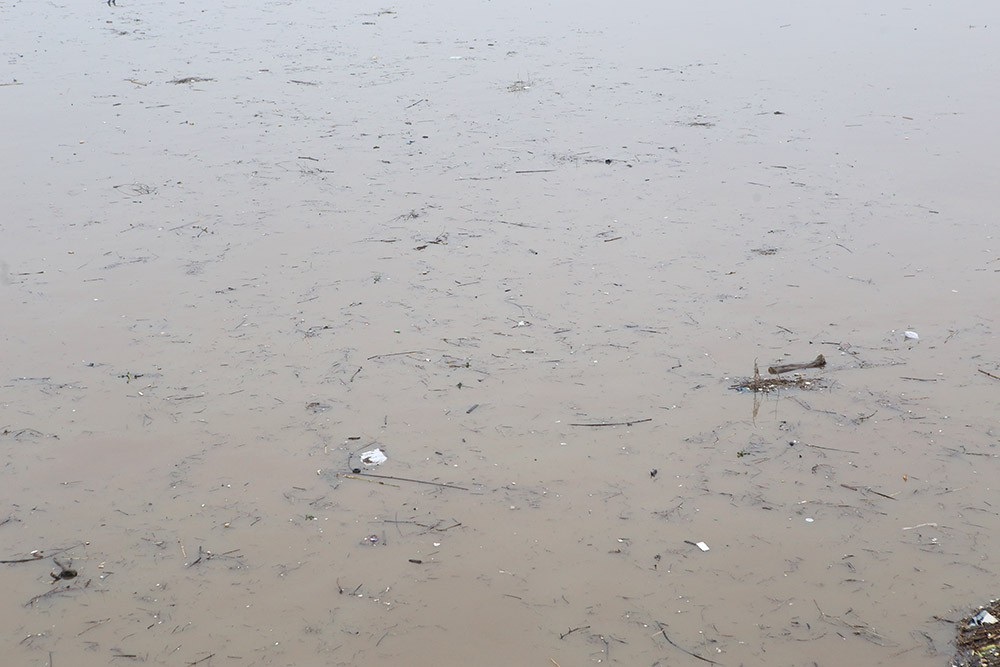 Hà Nội: Sông Hồng xuất hiện nhiều củi rác trôi dạt - Ảnh 3.