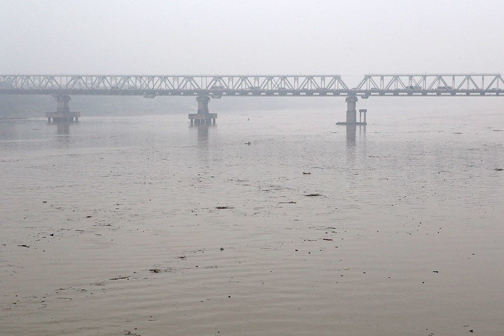 Hà Nội: Sông Hồng xuất hiện nhiều củi rác trôi dạt - Ảnh 8.