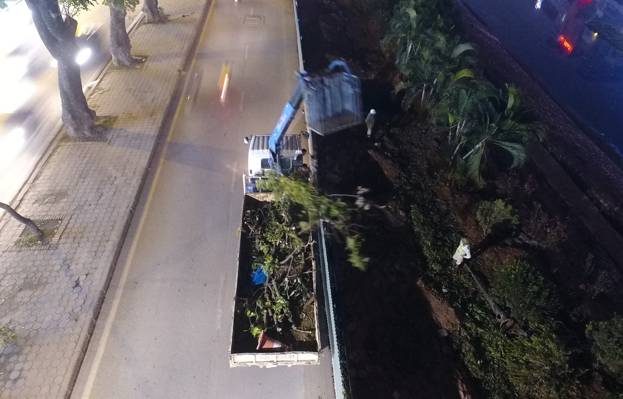 Công nhân ngày đêm đánh chuyển cây xanh, chạy đua mở rộng đường Láng - Ảnh 6. Công nhân ngày đêm đánh chuyển cây xanh, chạy đua mở rộng đường Láng - Ảnh 6.