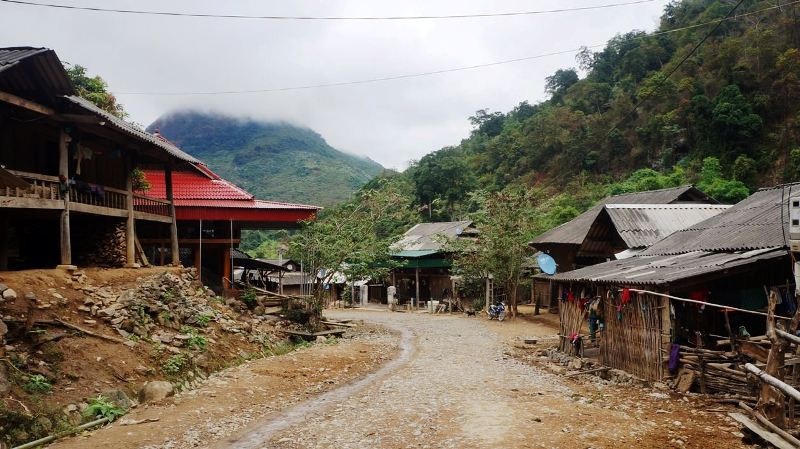 Nghệ An cảnh báo tệ nạn mua bán bào thai sang Trung Quốc - Ảnh 1. Nghệ An cảnh báo tệ nạn mua bán bào thai sang Trung Quốc - Ảnh 1.