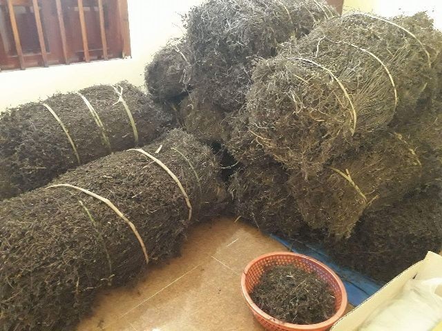 Một thay đổi lớn từ Trung Quốc: Lời cảnh báo gửi tới Việt Nam - Ảnh 1. Một thay đổi lớn từ Trung Quốc: Lời cảnh báo gửi tới Việt Nam - Ảnh 1.