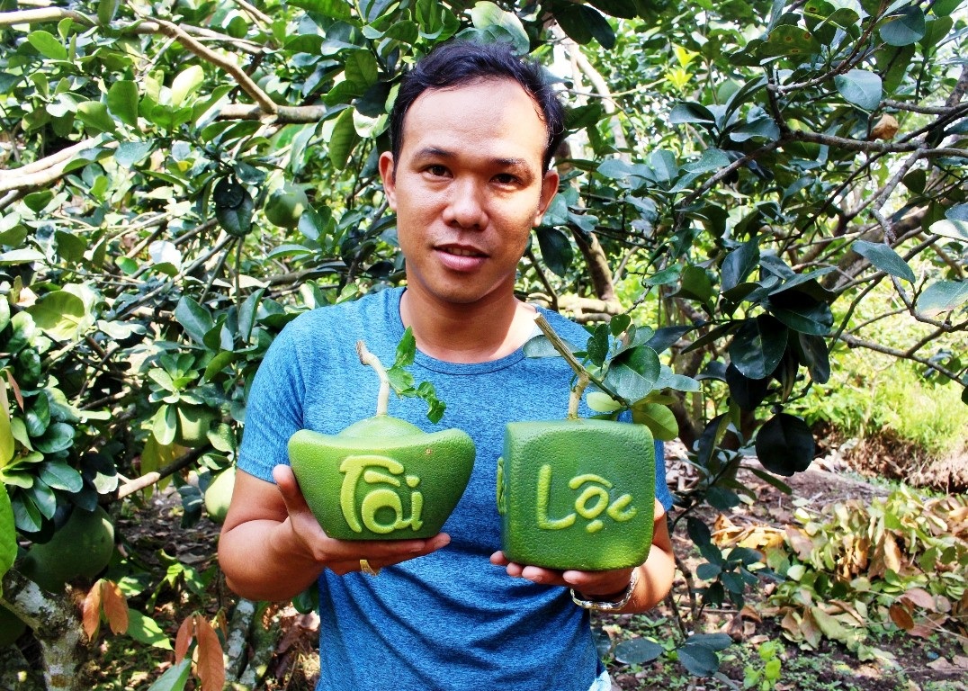 Dừa thư pháp, bưởi thỏi vàng tiền triệu mỗi cặp… vẫn hút hàng - Ảnh 3. Dừa thư pháp, bưởi thỏi vàng tiền triệu mỗi cặp… vẫn hút hàng - Ảnh 3.