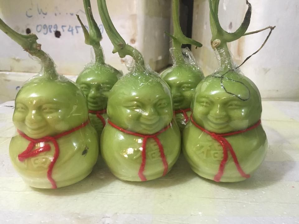 Dưa lưới hình lợn, xoài thư pháp hàng “độc” chơi Tết Kỷ Hợi - Ảnh 7. Dưa lưới hình lợn, xoài thư pháp hàng “độc” chơi Tết Kỷ Hợi - Ảnh 7.