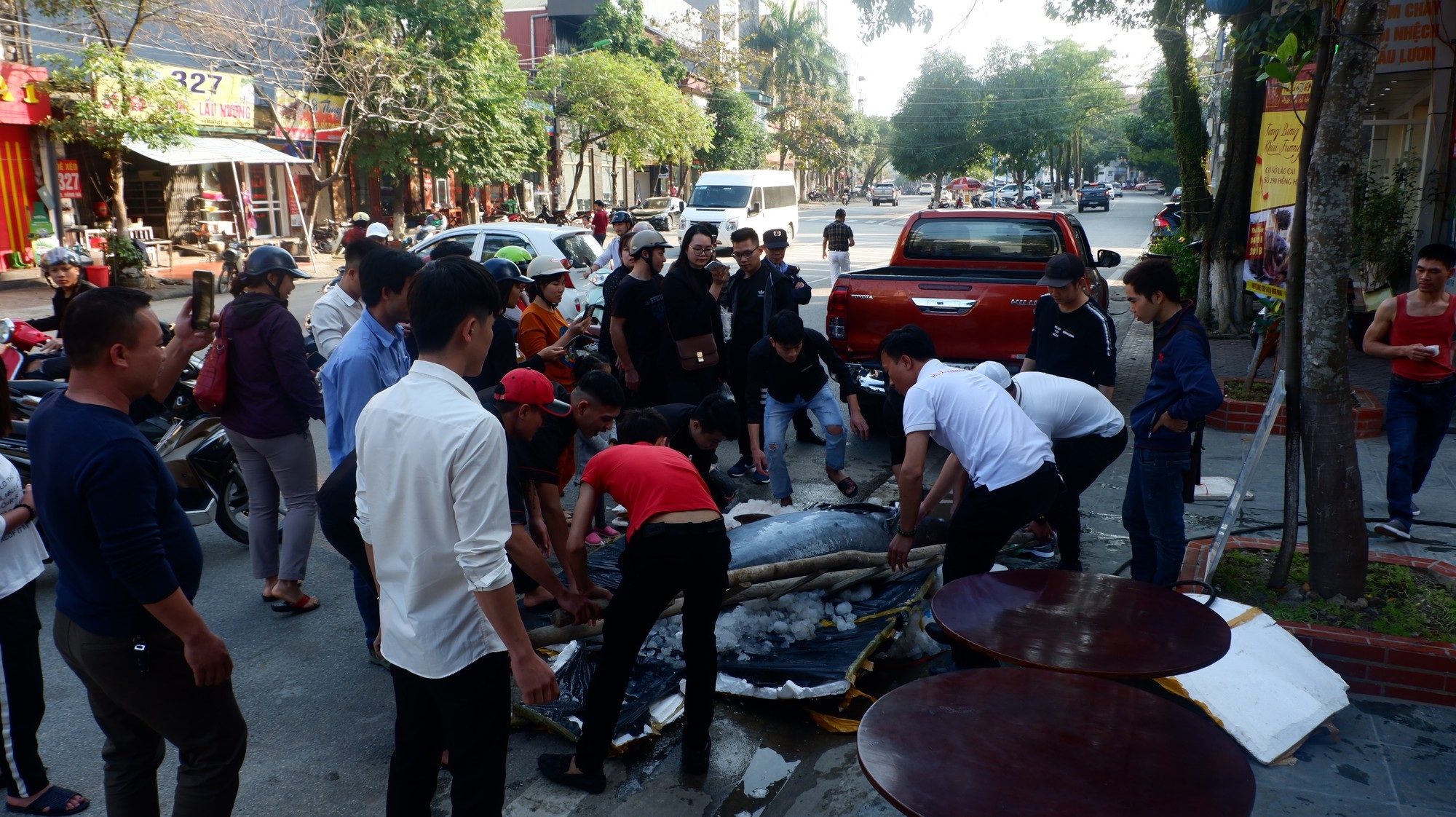 Chi hàng trăm triệu đưa “thủy quái” từ Campuchia về Việt Nam ăn Tết Kỷ Hợi - Ảnh 8.