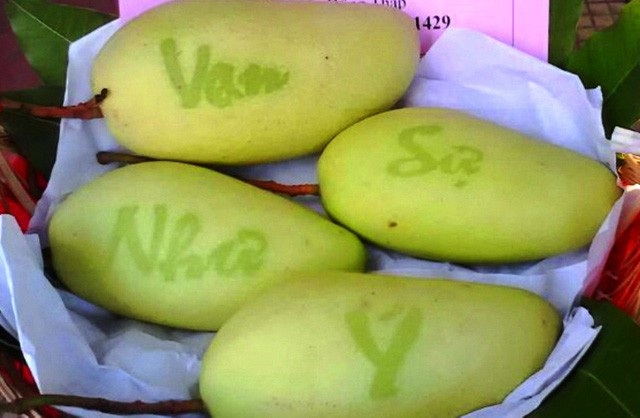 Dưa lưới hình lợn, xoài thư pháp hàng “độc” chơi Tết Kỷ Hợi - Ảnh 3. Dưa lưới hình lợn, xoài thư pháp hàng “độc” chơi Tết Kỷ Hợi - Ảnh 3.