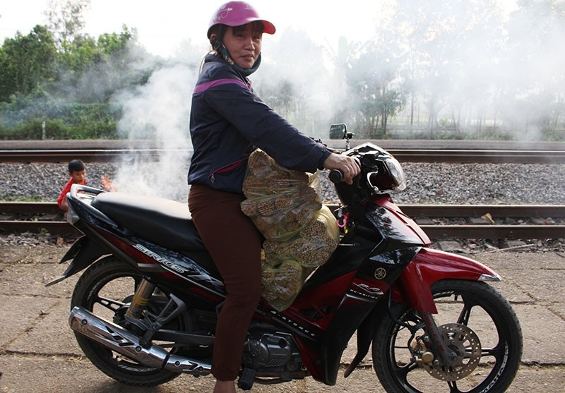 Hà Tĩnh: Làng đũa cau rừng hối hả “vót tiền” đón Tết - Ảnh 11. Hà Tĩnh: Làng đũa cau rừng hối hả “vót tiền” đón Tết - Ảnh 11.