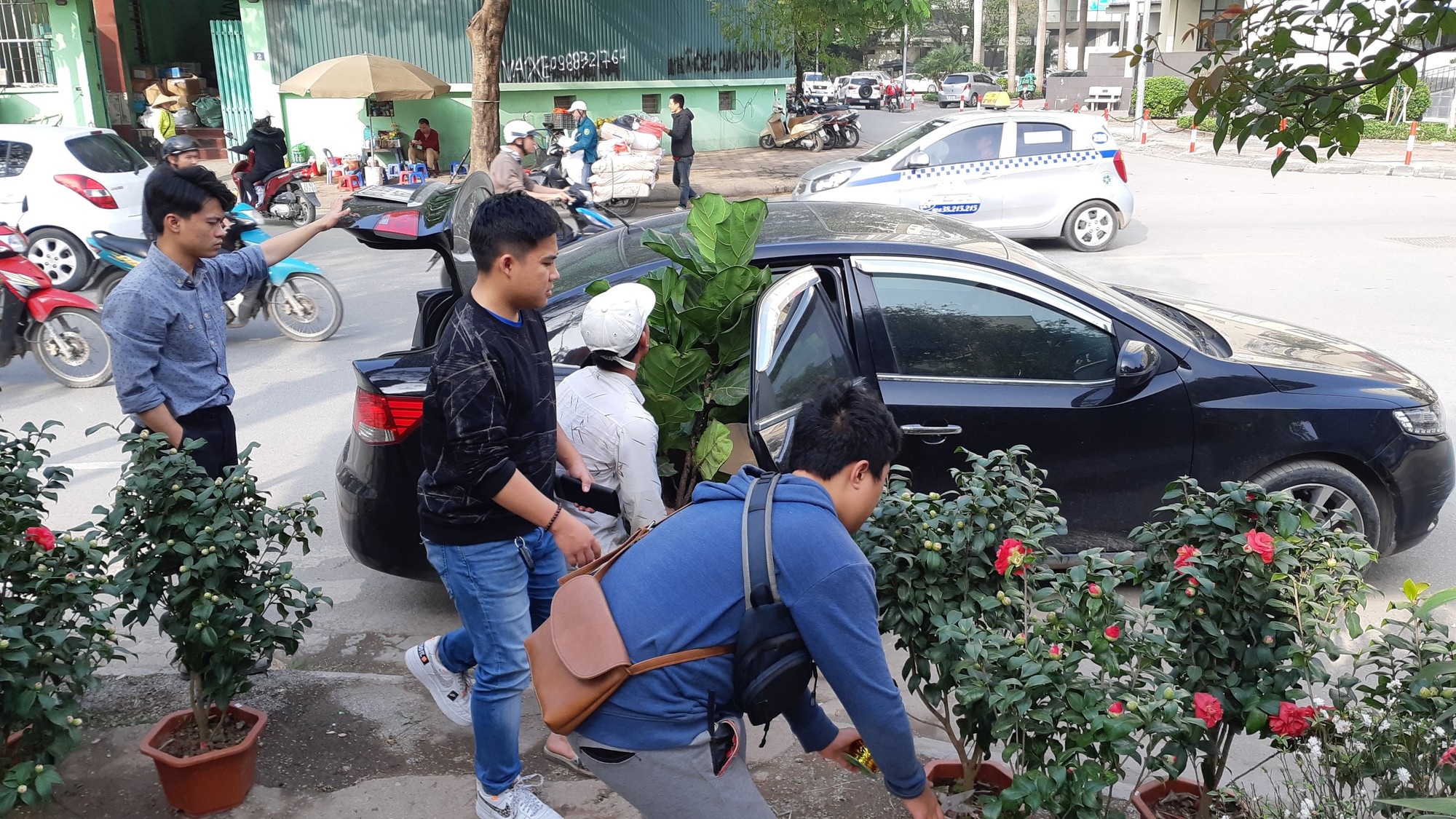 Cận Tết, hồng ngoại, hồng cổ Sapa thét giá chục triệu đồng/chậu - Ảnh 5. Cận Tết, hồng ngoại, hồng cổ Sapa thét giá chục triệu đồng/chậu - Ảnh 5.