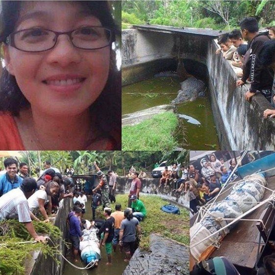 Cá sấu nhảy lên tường 2,5m, vồ chết nhà khoa học Indonesia - Ảnh 1. Cá sấu nhảy lên tường 2,5m, vồ chết nhà khoa học Indonesia - Ảnh 1.