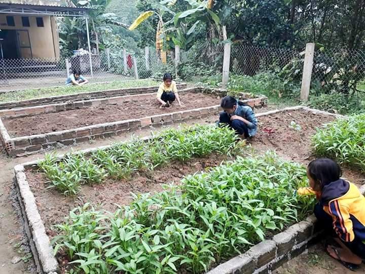 Trường vùng cao nuôi heo, gà, rau cải thiện bữa ăn cho các em - Ảnh 2. Trường vùng cao nuôi heo, gà, rau cải thiện bữa ăn cho các em - Ảnh 2.