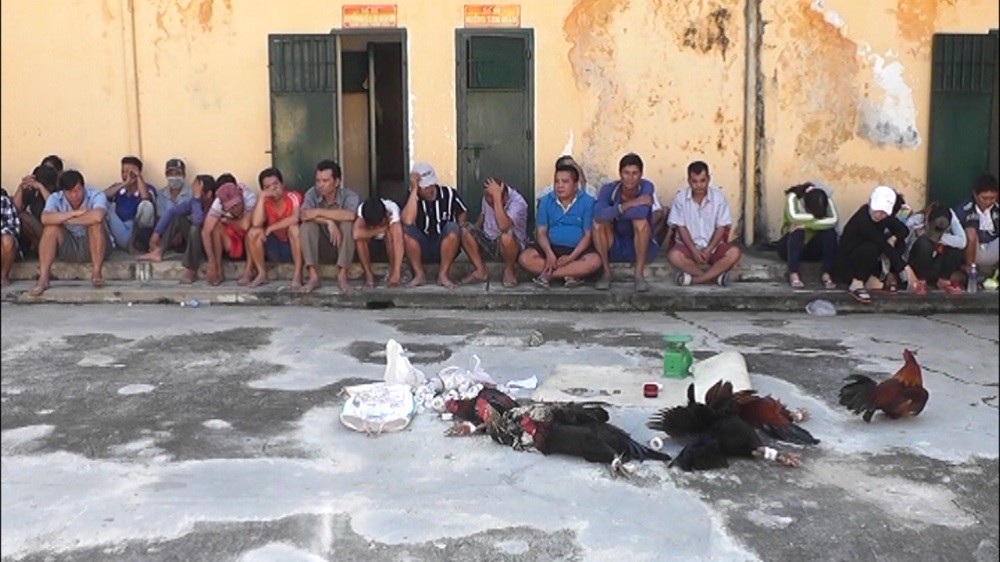 Công an huyện nói gì về thông tin con trai Phó Bí thư Tỉnh ủy đá gà, đánh bạc? - Ảnh 2.