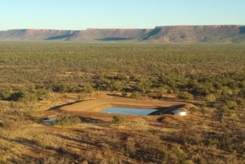 Một công ty Việt Nam mua ba trại chăn thả gia súc phía bắc Australia - Ảnh 1. Một công ty Việt Nam mua ba trại chăn thả gia súc phía bắc Australia - Ảnh 1.
