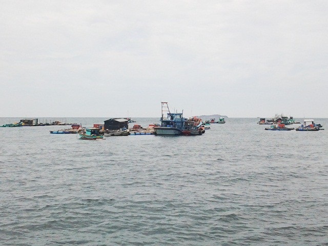 Lo bão số 1, Cà Mau, Bạc Liêu đề nghị Trung ương hỗ trợ - 2 Nhiều lồng bè nuôi thủy sản ở khu vực đảo Hòn Chuối (tỉnh Cà Mau).