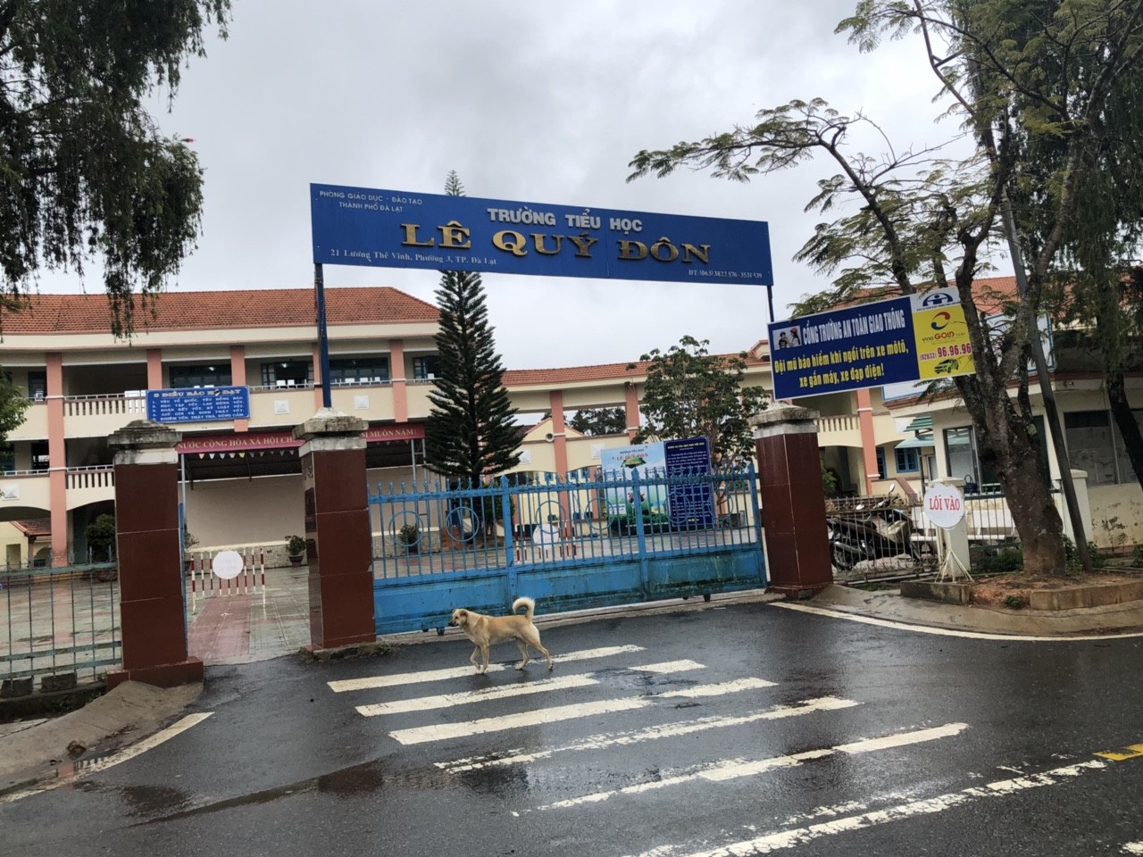 Nữ hiệu trưởng bị kỉ luật cảnh cáo vì thu chi sai quy định - Ảnh 1. Nữ hiệu trưởng bị kỉ luật cảnh cáo vì thu chi sai quy định - Ảnh 1.