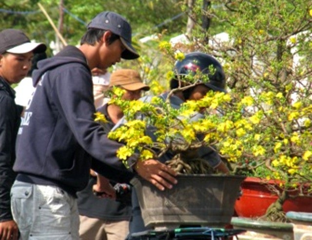 Cà Mau mở chợ Tết từ giữa tháng Chạp đến đêm giao thừa - Ảnh 1. Cà Mau mở chợ Tết từ giữa tháng Chạp đến đêm giao thừa - Ảnh 1.