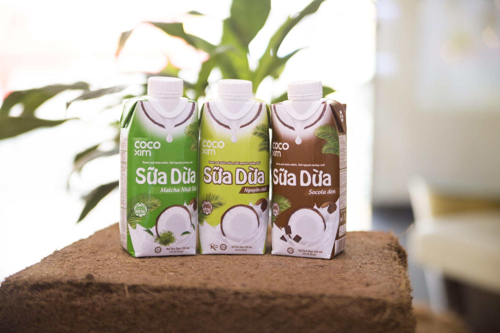 Betrimex ra mắt Sữa dừa Cocoxim Matcha Nhật Bản và Socola đen – Hương vị mới thơm ngon, bổ dưỡng cho sức khỏe - Ảnh 2. Betrimex ra mắt Sữa dừa Cocoxim Matcha Nhật Bản và Socola đen – Hương vị mới thơm ngon, bổ dưỡng cho sức khỏe - Ảnh 2.