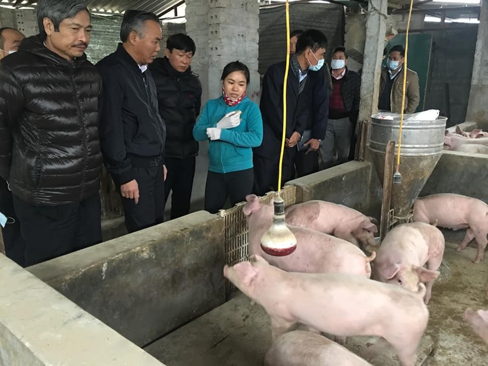 Cục Thú ý xác nhận 6 địa phương có dịch lở mồm long móng - Ảnh 1. Cục Thú ý xác nhận 6 địa phương có dịch lở mồm long móng - Ảnh 1.