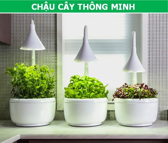 Điểm lại những sáng chế đầy ấn tượng của năm 2018! - 8 Điểm lại những sáng chế đầy ấn tượng của năm 2018! - 8