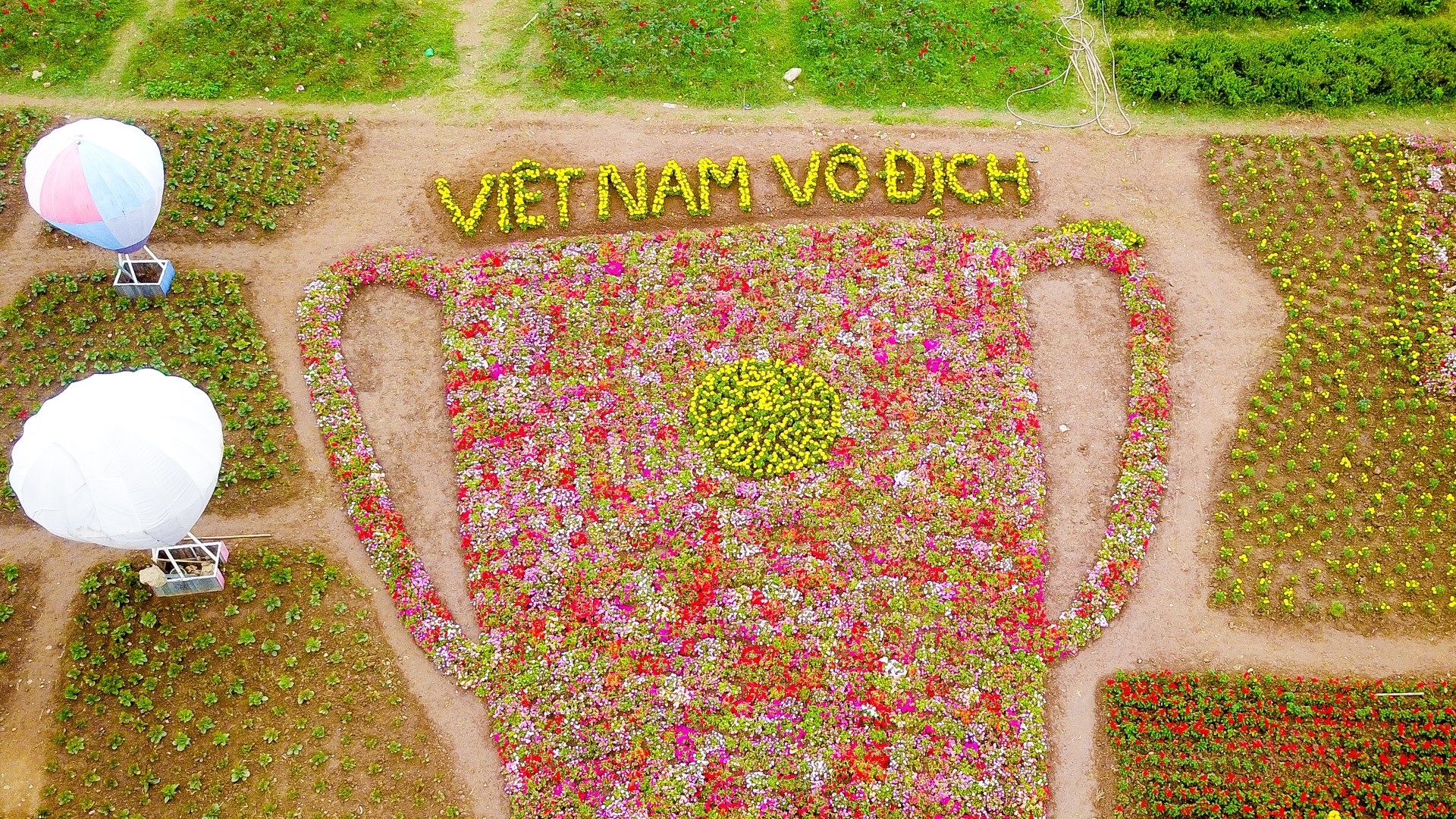 Vườn hoa hình cúp vô địch khổng lồ cổ vũ đội tuyển Việt Nam - Ảnh 3. Vườn hoa hình cúp vô địch khổng lồ cổ vũ đội tuyển Việt Nam - Ảnh 3.