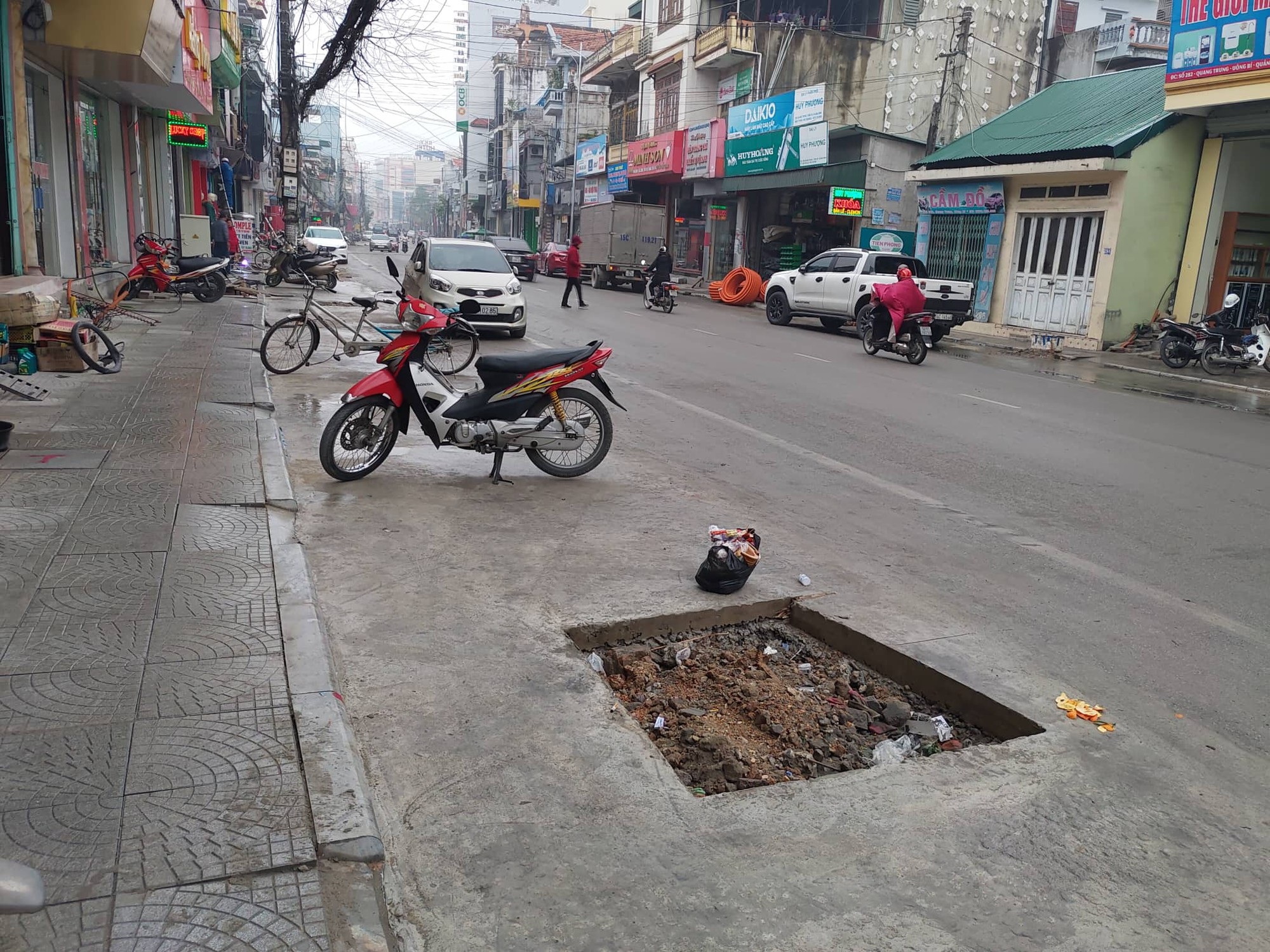 Lạ lùng hàng trăm cây xanh mọc dưới... lòng đường - Ảnh 4. Lạ lùng hàng trăm cây xanh mọc dưới... lòng đường - Ảnh 4.
