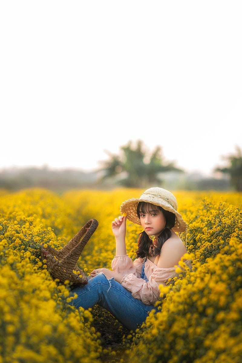 Nàng thơ tuổi teen khoe sắc giữa vườn hoa cúc vàng - Ảnh 7. Nàng thơ tuổi teen khoe sắc giữa vườn hoa cúc vàng - Ảnh 7.
