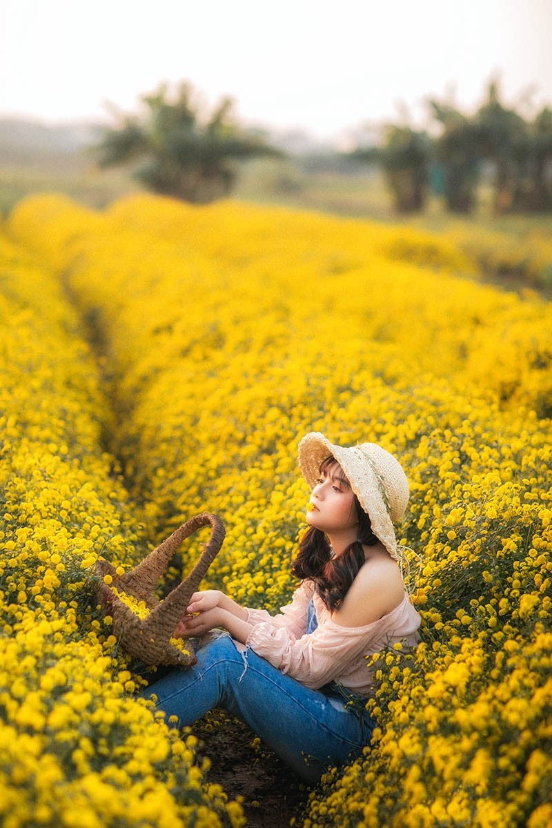 Nàng thơ tuổi teen khoe sắc giữa vườn hoa cúc vàng - Ảnh 6. Nàng thơ tuổi teen khoe sắc giữa vườn hoa cúc vàng - Ảnh 6.
