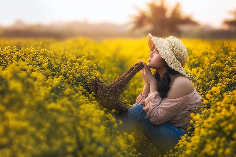 Nàng thơ tuổi teen khoe sắc giữa vườn hoa cúc vàng - Ảnh 3. Nàng thơ tuổi teen khoe sắc giữa vườn hoa cúc vàng - Ảnh 3.
