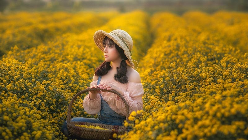 Nàng thơ tuổi teen khoe sắc giữa vườn hoa cúc vàng - Ảnh 4. Nàng thơ tuổi teen khoe sắc giữa vườn hoa cúc vàng - Ảnh 4.