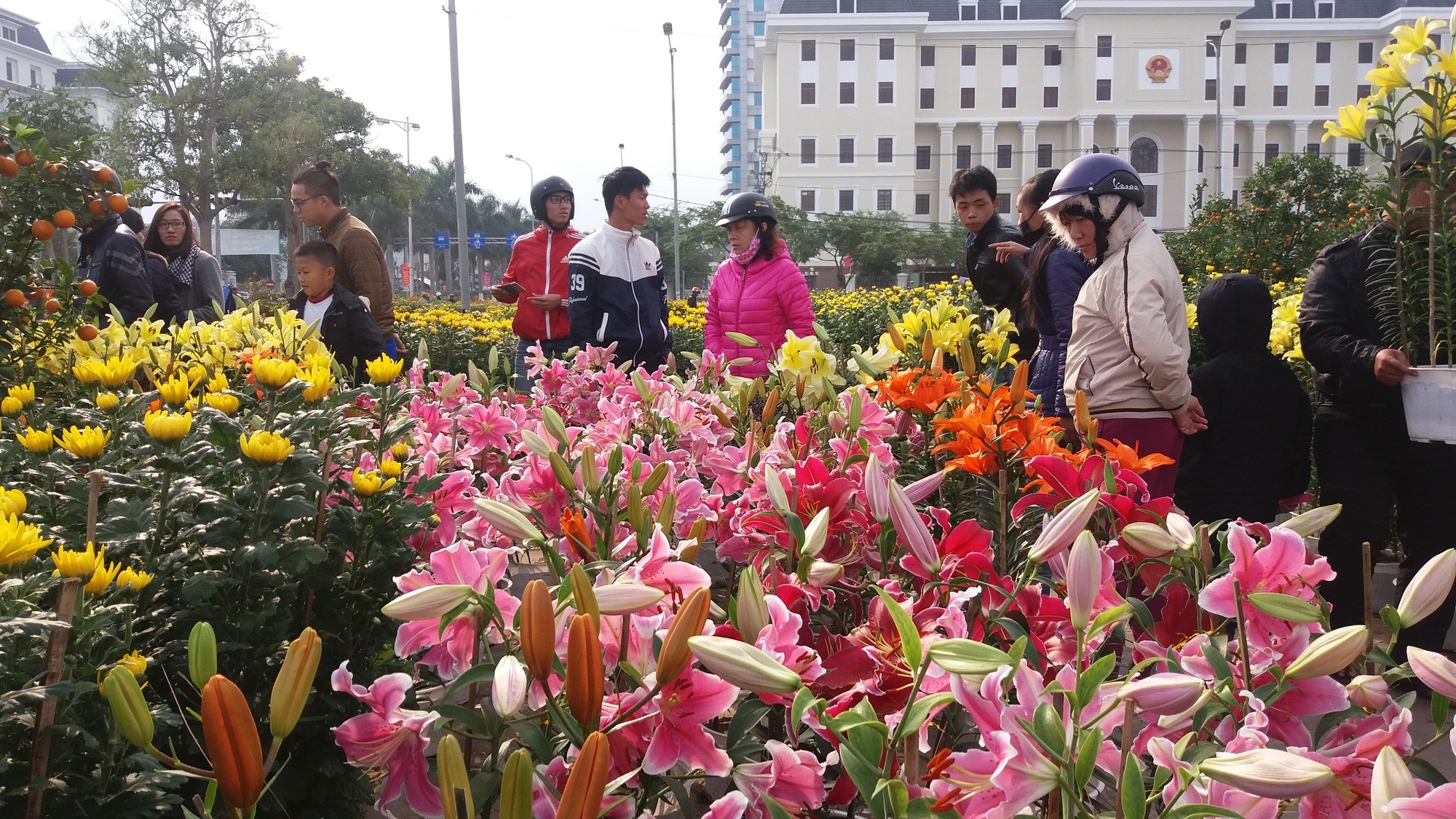 Đà Nẵng đấu giá thuê 164 lô bán hoa Tết - Ảnh 1. Đà Nẵng đấu giá thuê 164 lô bán hoa Tết - Ảnh 1.