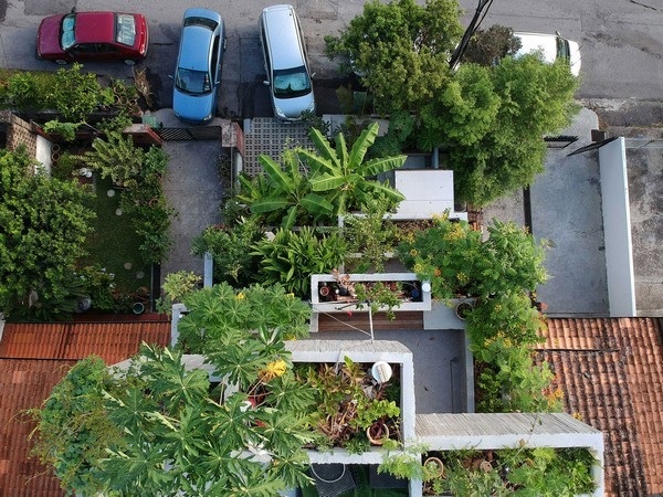 Căn nhà triệu người mê: Muốn ăn trái cây gì cũng hái được ngay - Ảnh 2. Căn nhà triệu người mê: Muốn ăn trái cây gì cũng hái được ngay - Ảnh 2.